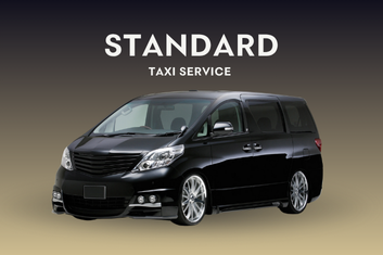 Standard Taxi Service